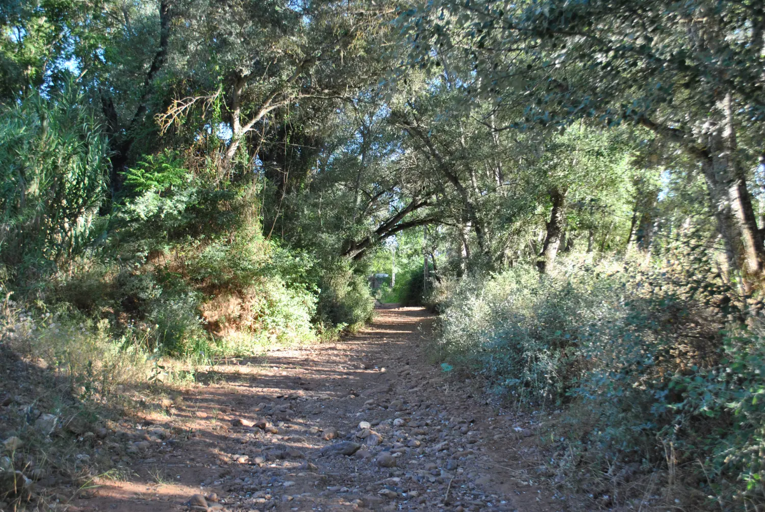 Senderismo por el Pueblo Saharaui (Villafranca)