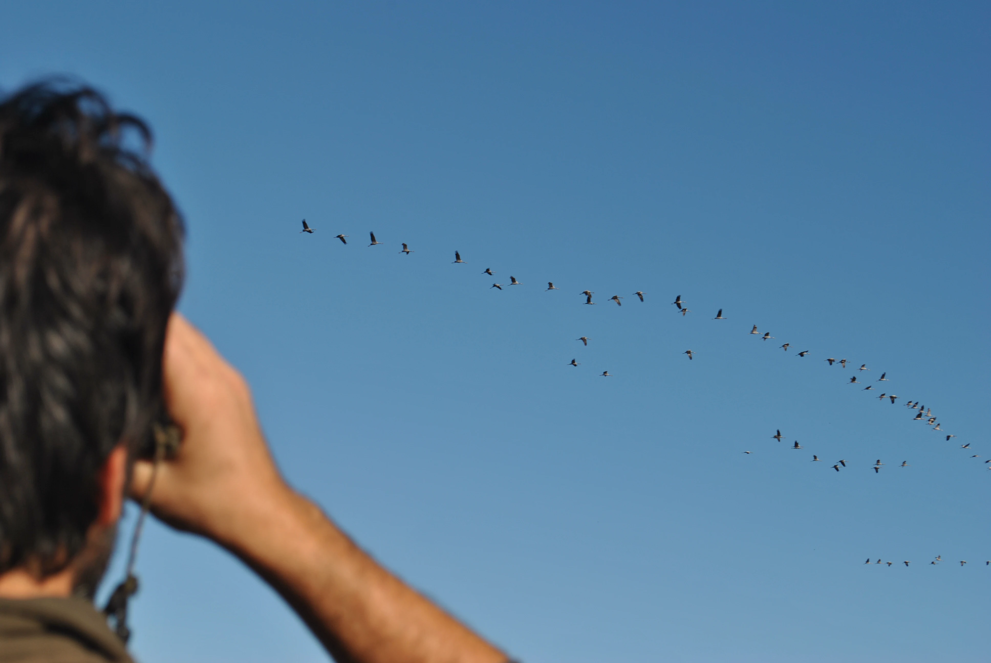 Turismo de Naturaleza